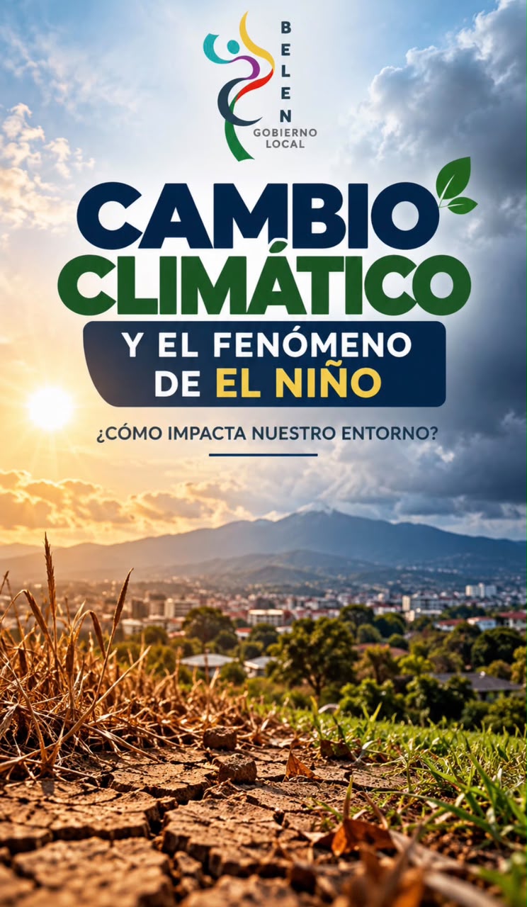 Las tres medallas de reconocimiento ambiental.