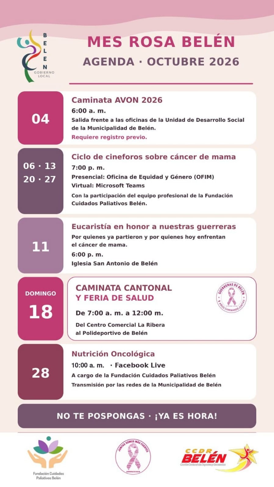Formulario digital para visado municipal plano de catastro